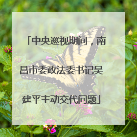 中央巡视期间，南昌市委政法委书记吴建平主动交代问题